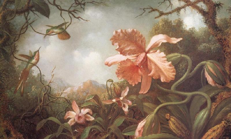 Martin Johnson Heade The Hummingbirds and Two Varieties of Orchids China oil painting art